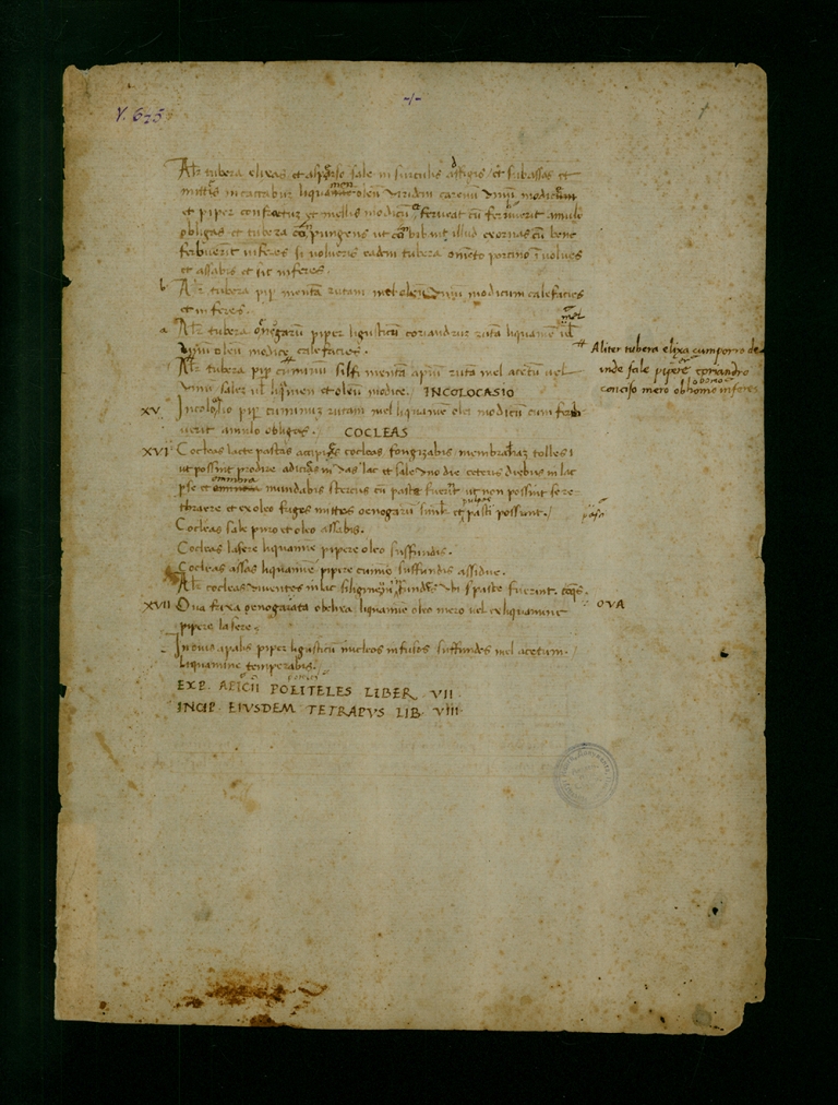 Кулинарная книга Апиция, коллация Полициано, XV век.